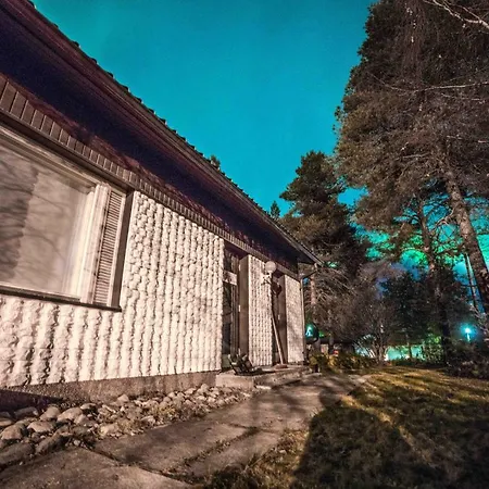 Foxtail Rovaniemi